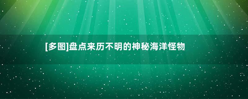 [多图]盘点来历不明的神秘海洋怪物